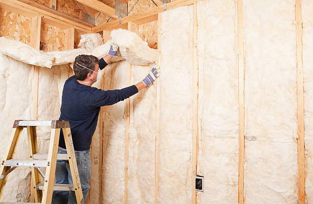 Best Crawl Space Insulation in USA